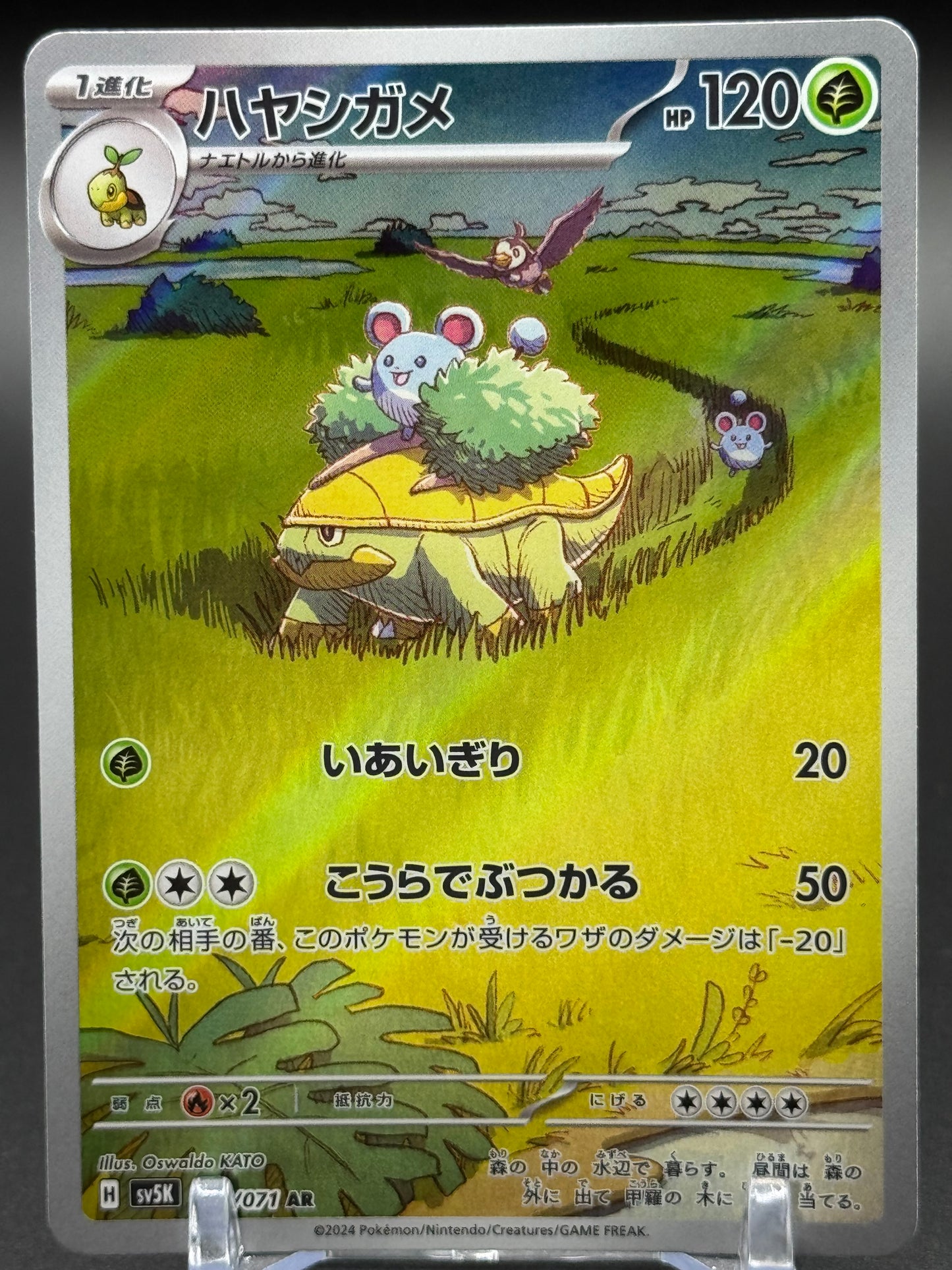 Japanese Pokemon TCG Grotle | Wild Force 072/071 | Condition: Near Mint
