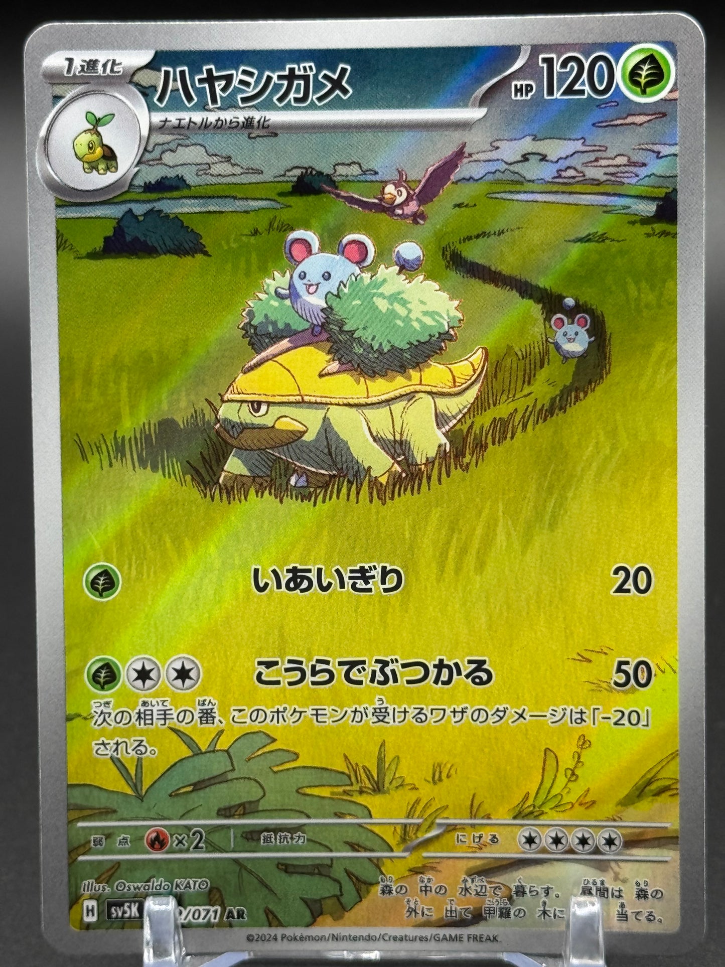 Japanese Pokemon TCG Grotle | Wild Force 072/071 | Condition: Near Mint