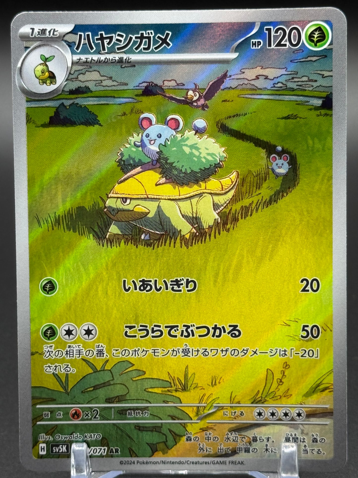 Japanese Pokemon TCG Grotle | Wild Force 072/071 | Condition: Near Mint
