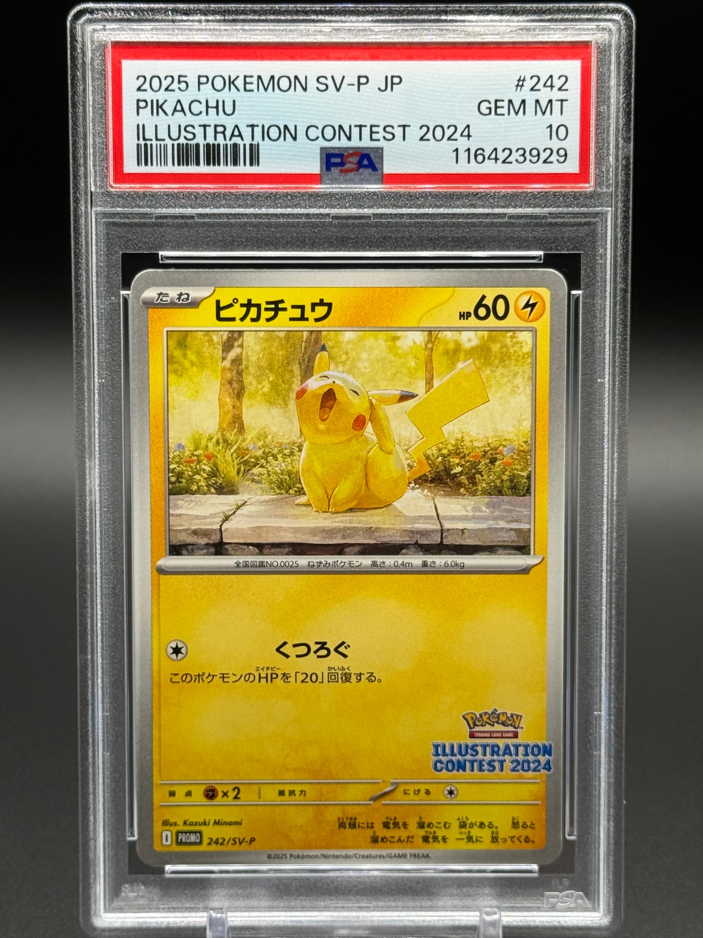 Japanese Pokemon TCG Pikachu | SV-P 242 | PSA Graded GEM MT 10
