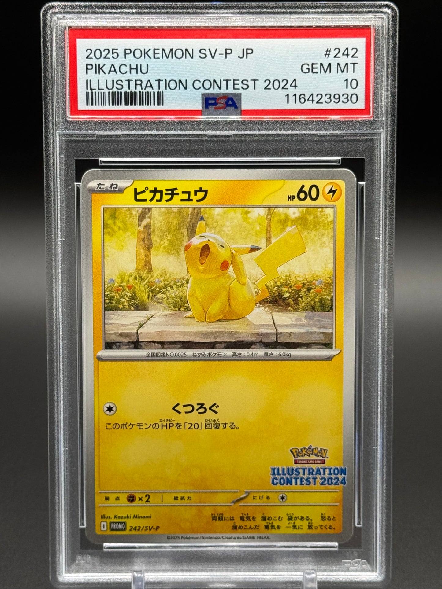 Japanese Pokemon TCG Pikachu | SV-P 242 | PSA Graded GEM MT 10