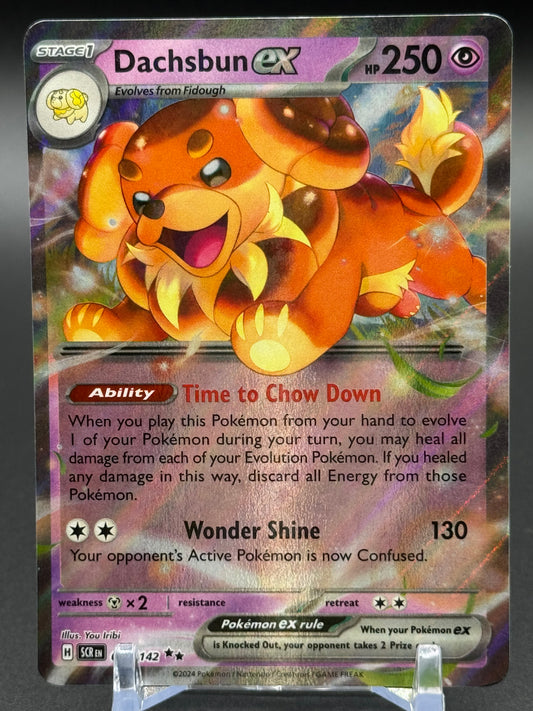 Pokemon TCG Dachsbun ex | Stellar Crown 067/142 | Condition: Near Mint