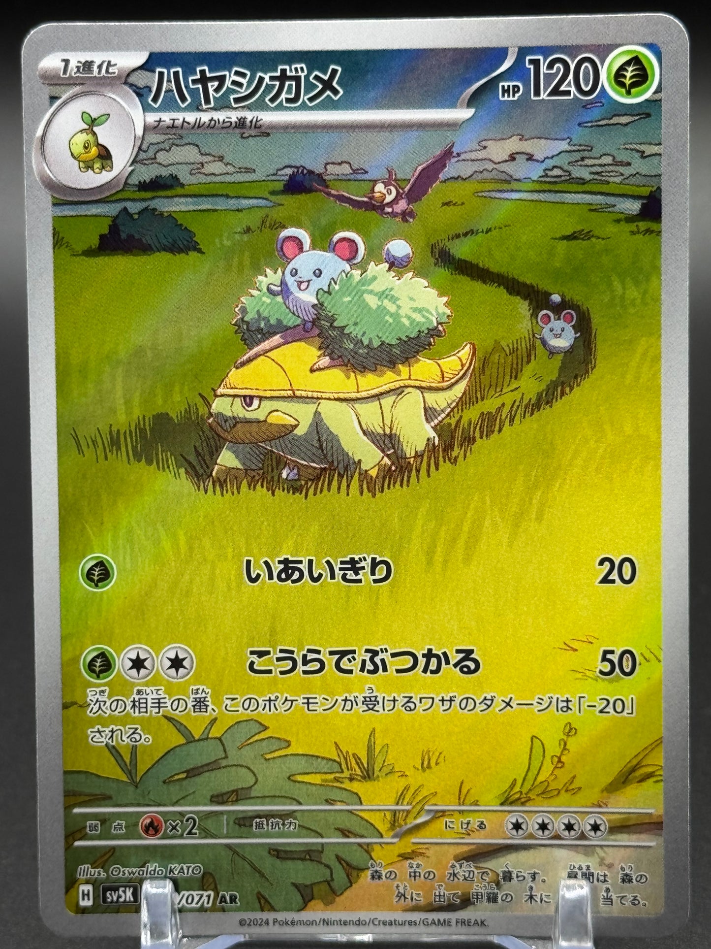 Japanese Pokemon TCG Grotle | Wild Force 072/071 | Condition: Near Mint