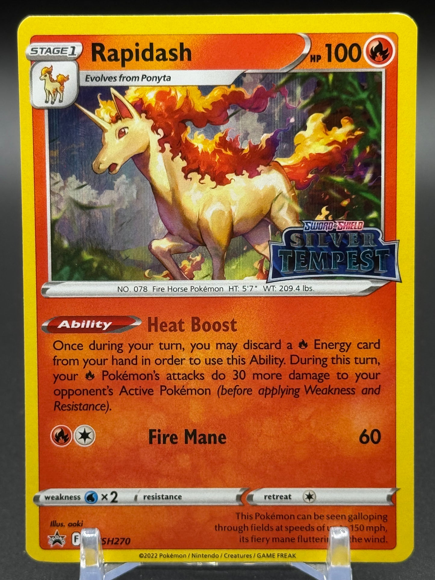 Pokemon TCG Rapidash | Black Star Promo SWSH270 | Condition: Near Mint