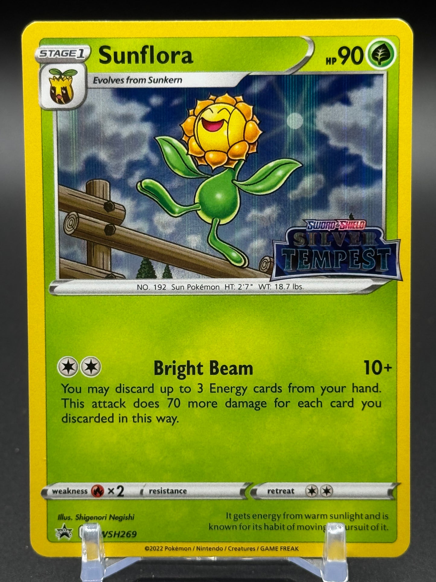 Pokemon TCG Sunflora | Black Star Promo SWSH269 | Condition: Near Mint