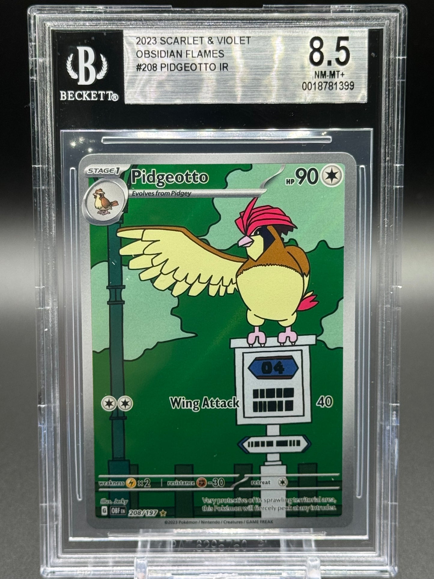 Pokemon TCG Pidgeotto | Obsidian Flames 208/197 | BGS Graded NM-MT+ 8.5