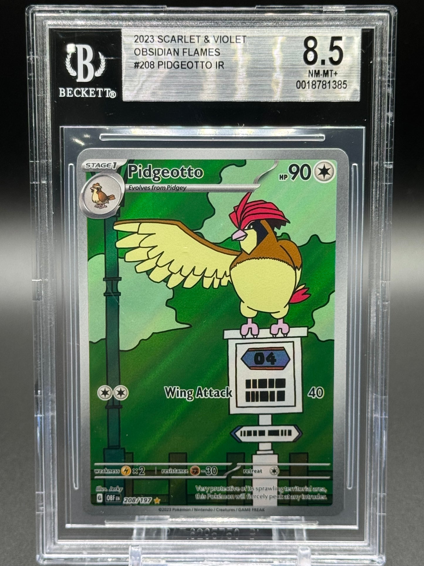 Pokemon TCG Pidgeotto | Obsidian Flames 208/197 | BGS Graded NM-MT+ 8.5
