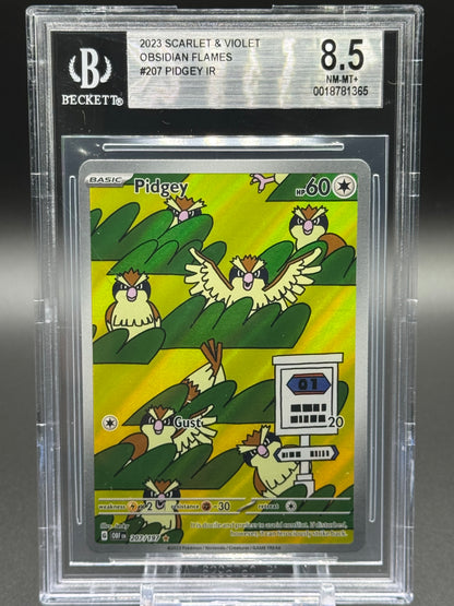 Pokemon TCG Pidgey | Obsidian Flames 207/197 | BGS Graded NM-MT+ 8.5