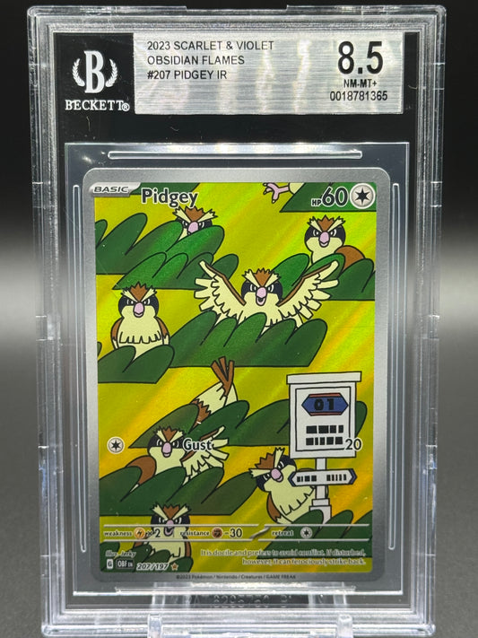 Pokemon TCG Pidgey | Obsidian Flames 207/197 | BGS Graded NM-MT+ 8.5