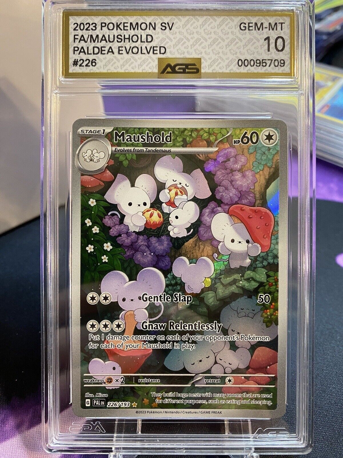 Pokemon TCG Maushold | S&V - Paldea Evolved #226 IR | AGS Graded GEM-MINT 10 GOLD LABEL!